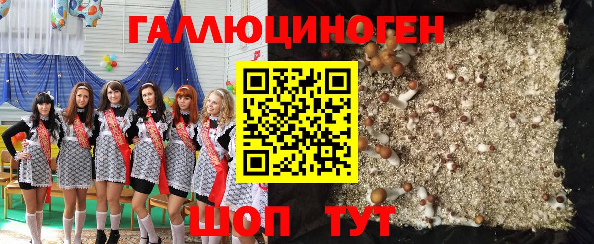 Нижний Тагил  Псилоцибиновые грибы Psilocybe  Вход с VPN  Галлюциногенные грибы прущие грибы 